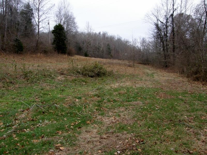 235 Slippery Road Hohenwald, TN 38462 - Photo 4 of 13 a view of a field with trees in the background