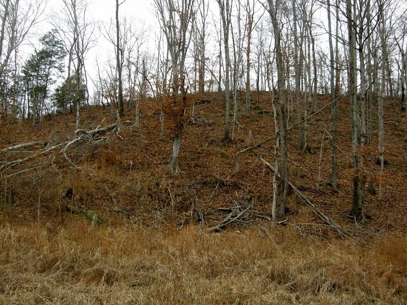 235 Slippery Road Hohenwald, TN 38462 - Photo 6 of 13 a view of outdoor space and a yard