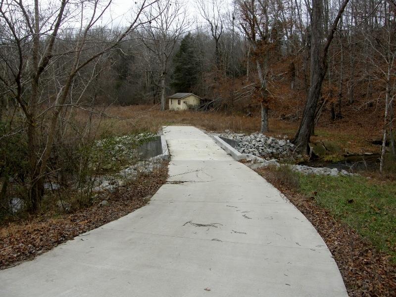 235 Slippery Road Hohenwald, TN 38462 - Photo 8 of 13 a view of outdoor space and yard