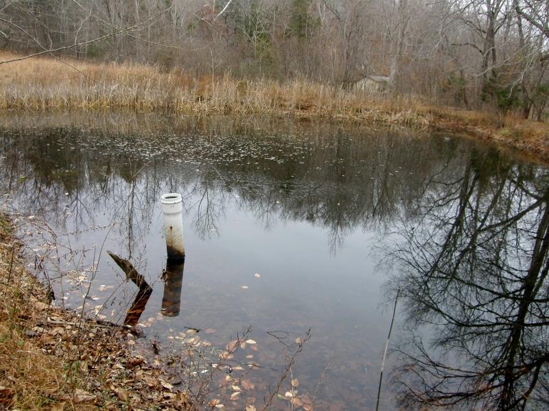 235 Slippery Road Hohenwald, TN 38462 - Photo 10 of 13 a view of a lake from a yard