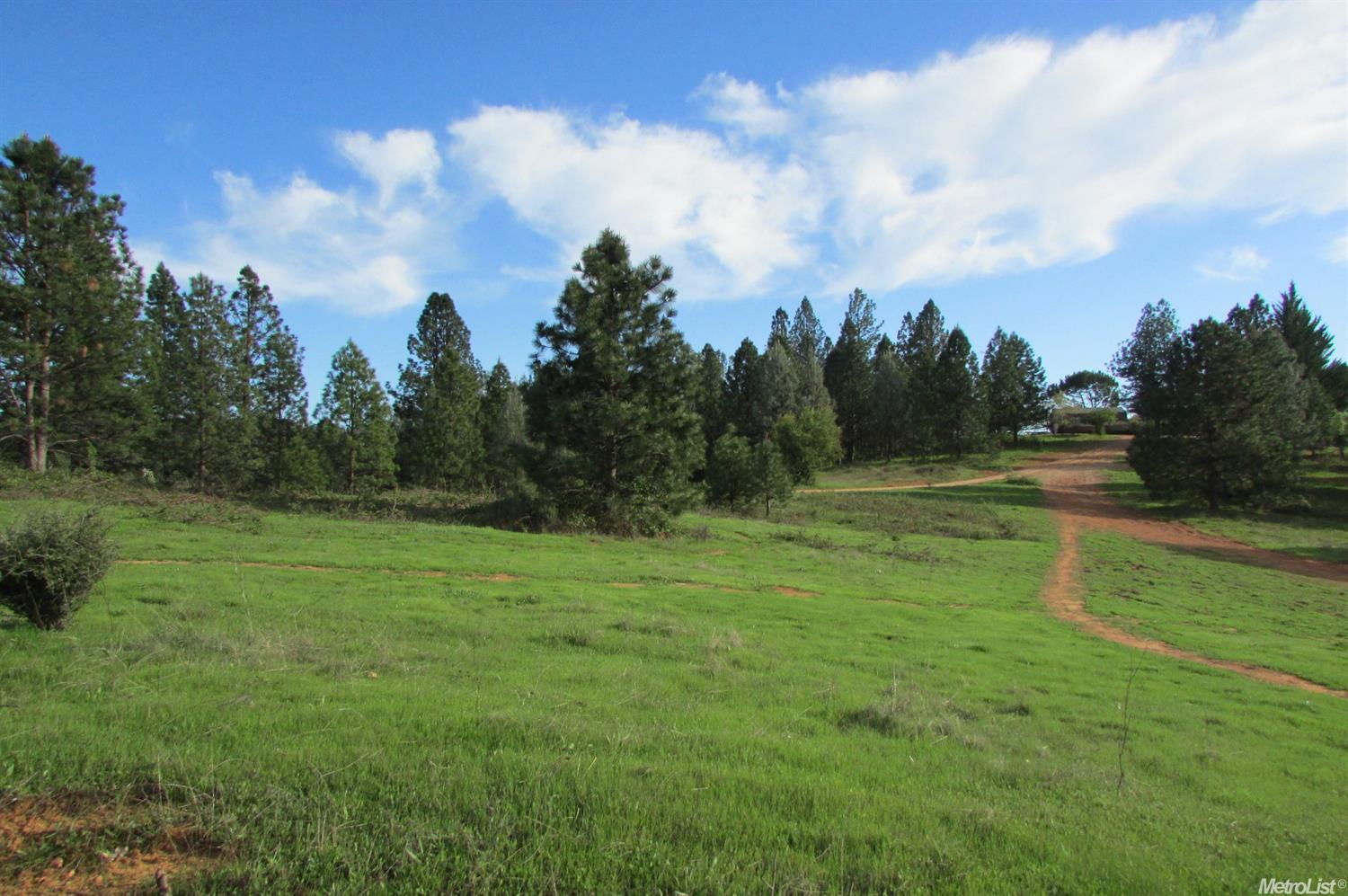 20300 Meyer Road Grass Valley, CA 95945 - Photo 1 of 1 Gallery Image 1