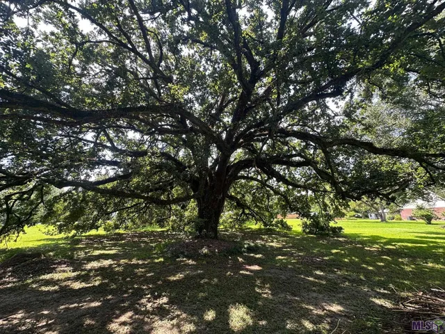 $89,000 | 0 Alex Road, Gonzales, LA 70737