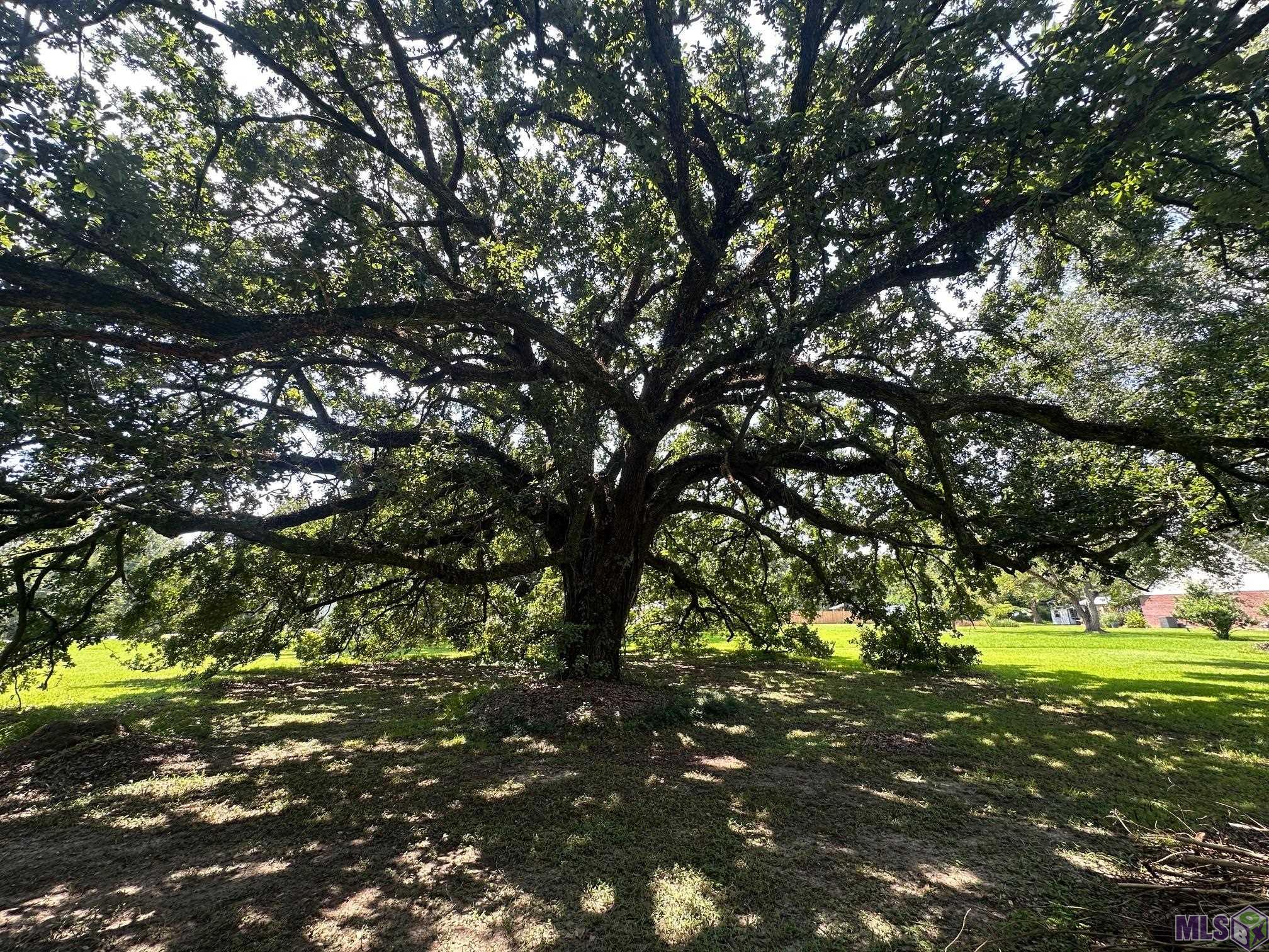 0 Alex Road Gonzales, LA 70737 - Photo 1 of 5