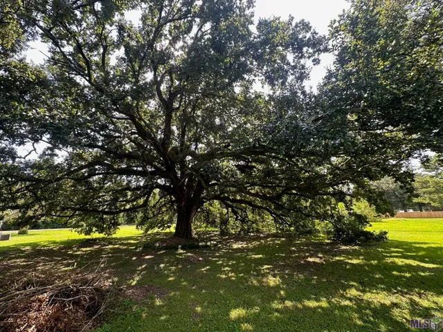 $89,000 | 0 Alex Road, Gonzales, LA 70737