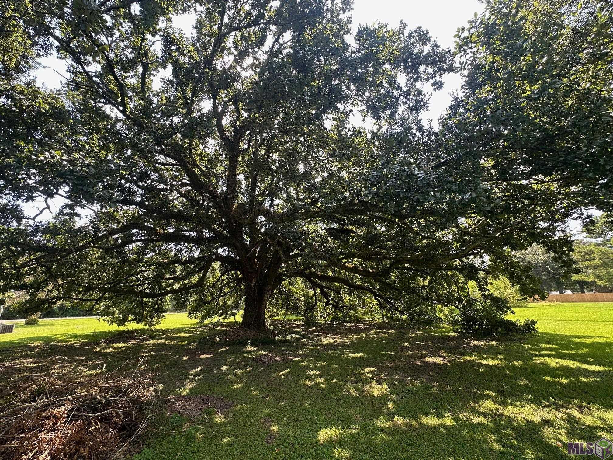 0 Alex Road Gonzales, LA 70737 - Photo 3 of 5