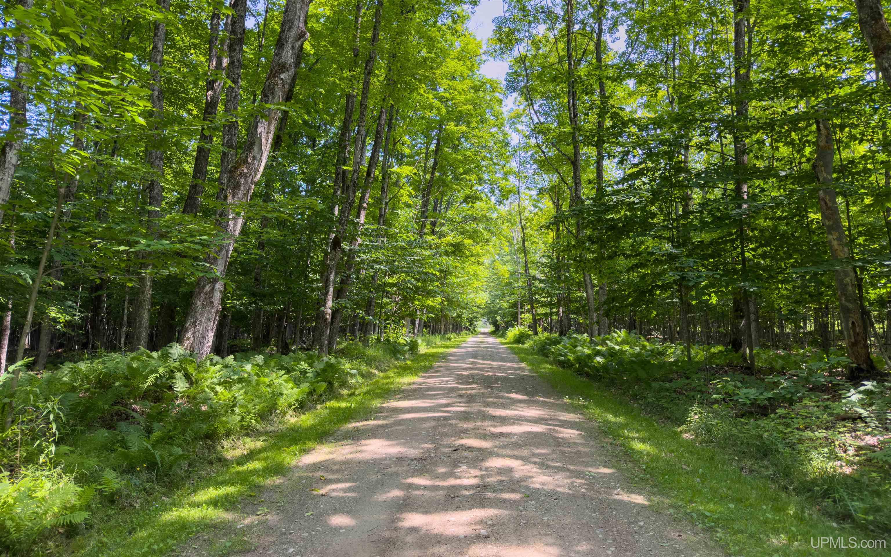 9786 North Co Rd H-33 Road McMillan, MI 49853 - Photo 6 of 82