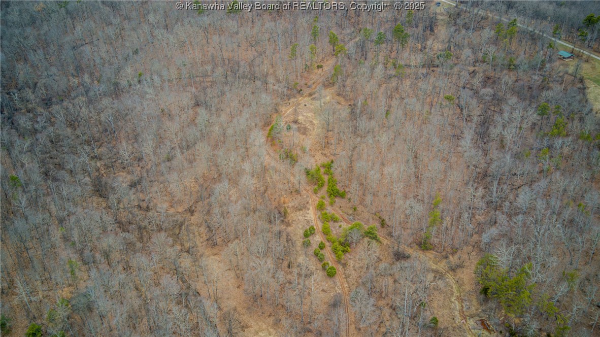 0 Evansview Road Evans, WV 25241 - Photo 21 of 41 Gallery Image 21