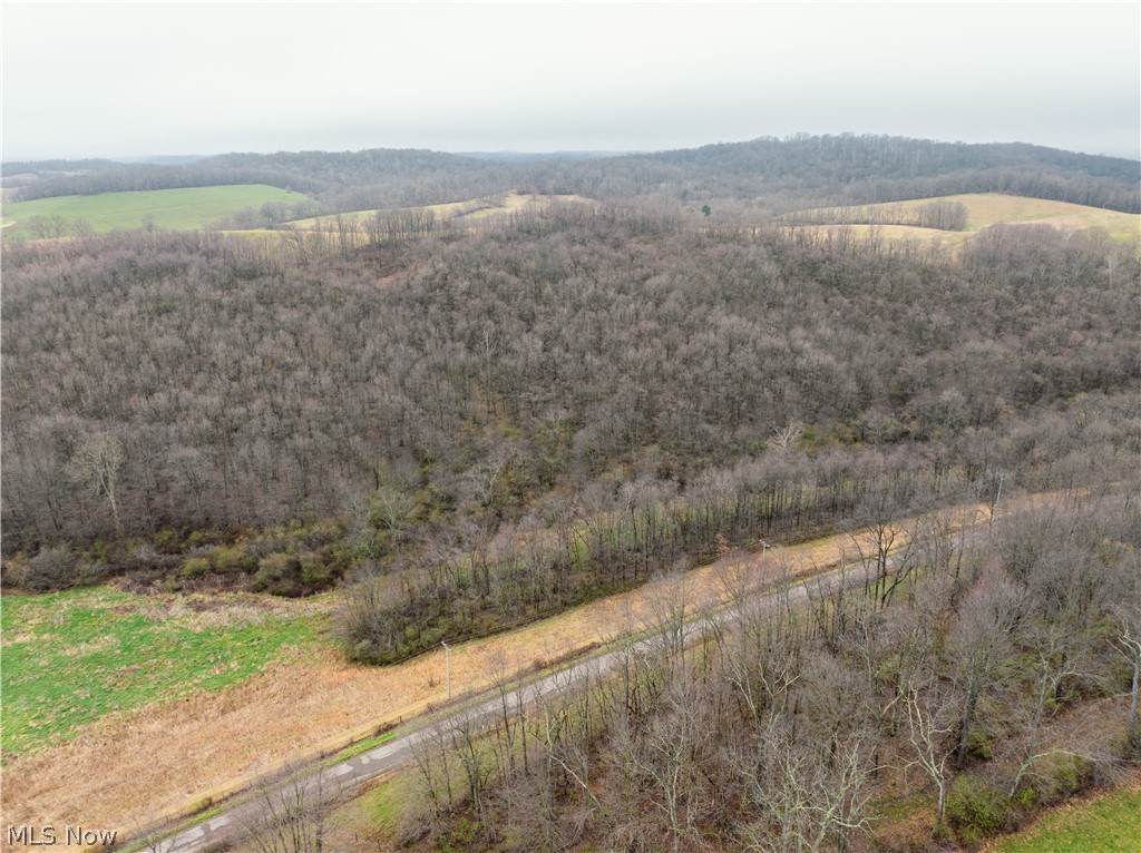 Buck Hill Road Frazeysburg, OH 43822 - Photo 1 of 24