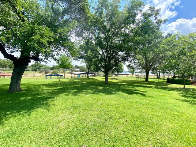 a huge green field with lots of trees