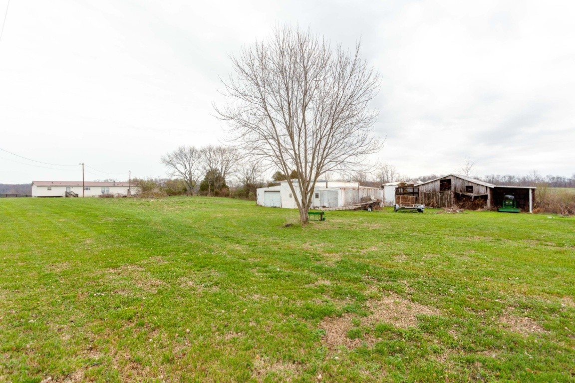 416 Keysburg Road Adams, TN 37010 - Photo 23 of 27 a view of yard with tree s