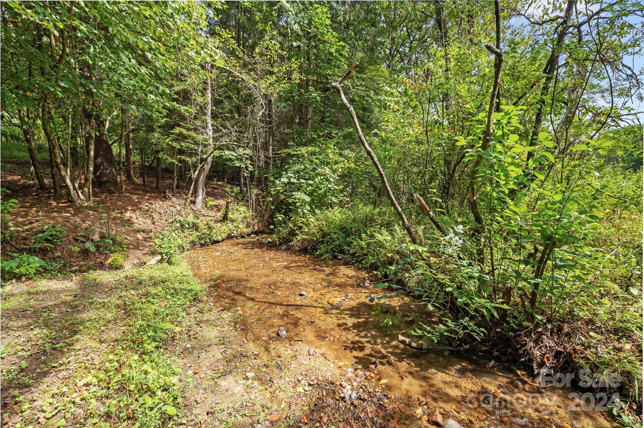 3152 Tanasee Gap Road Balsam Grove, NC 28708 - Photo 11 of 27 Gallery Image 11