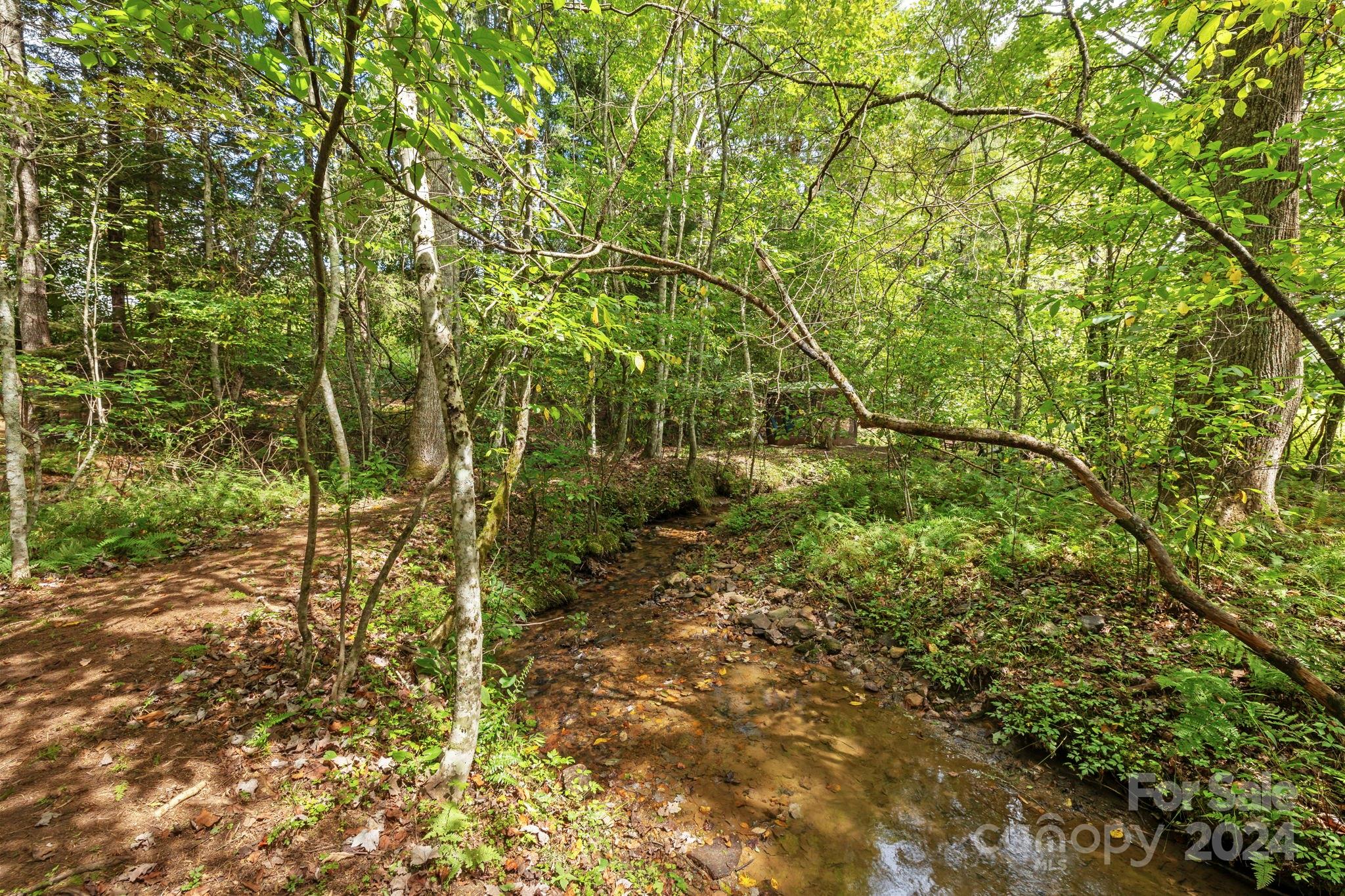 3152 Tanasee Gap Road Balsam Grove, NC 28708 - Photo 10 of 27 Gallery Image 10