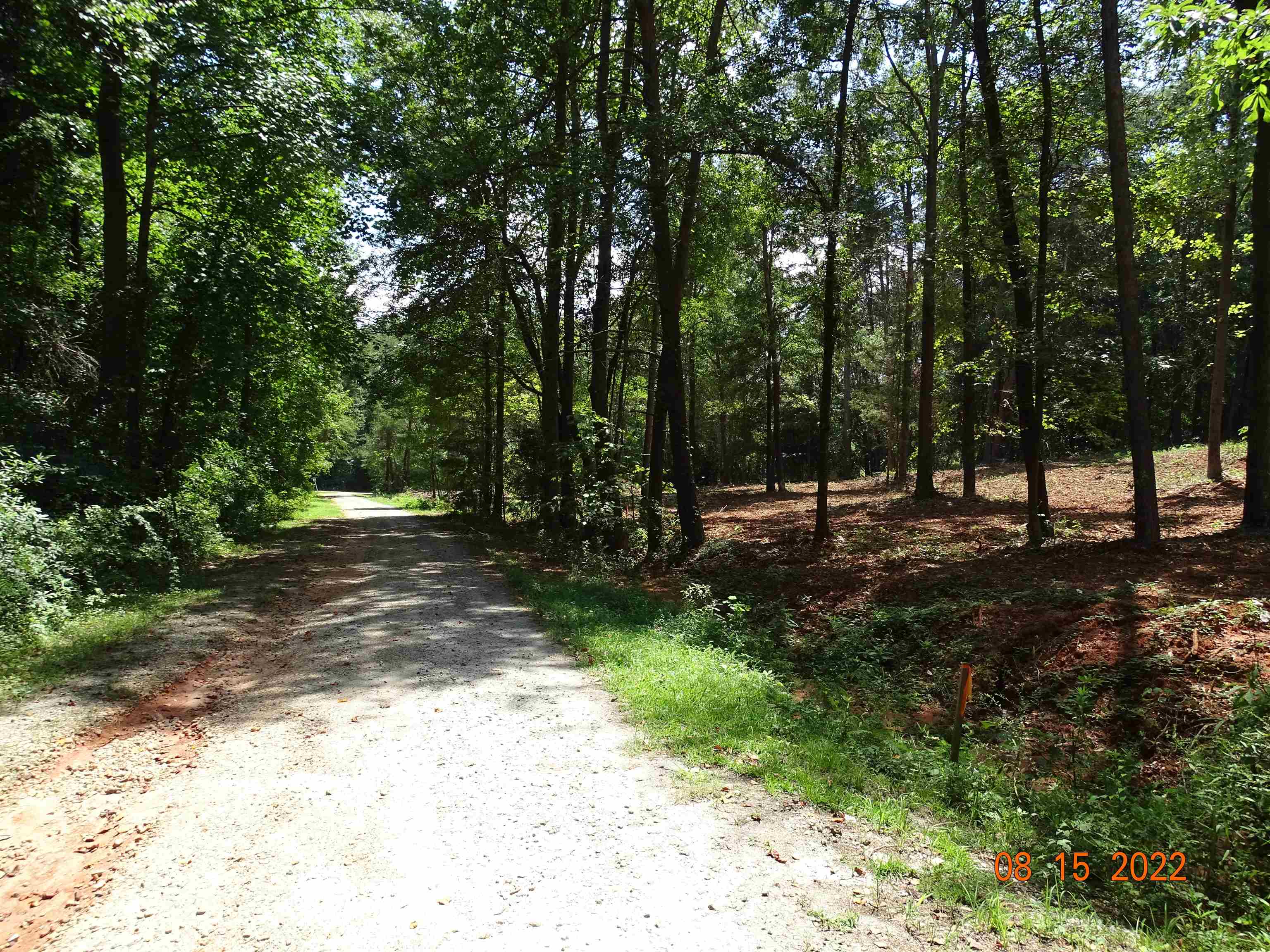 0 Blue Spring Drive Wellford, SC 29385 - Photo 1 of 7 Gallery Image 1