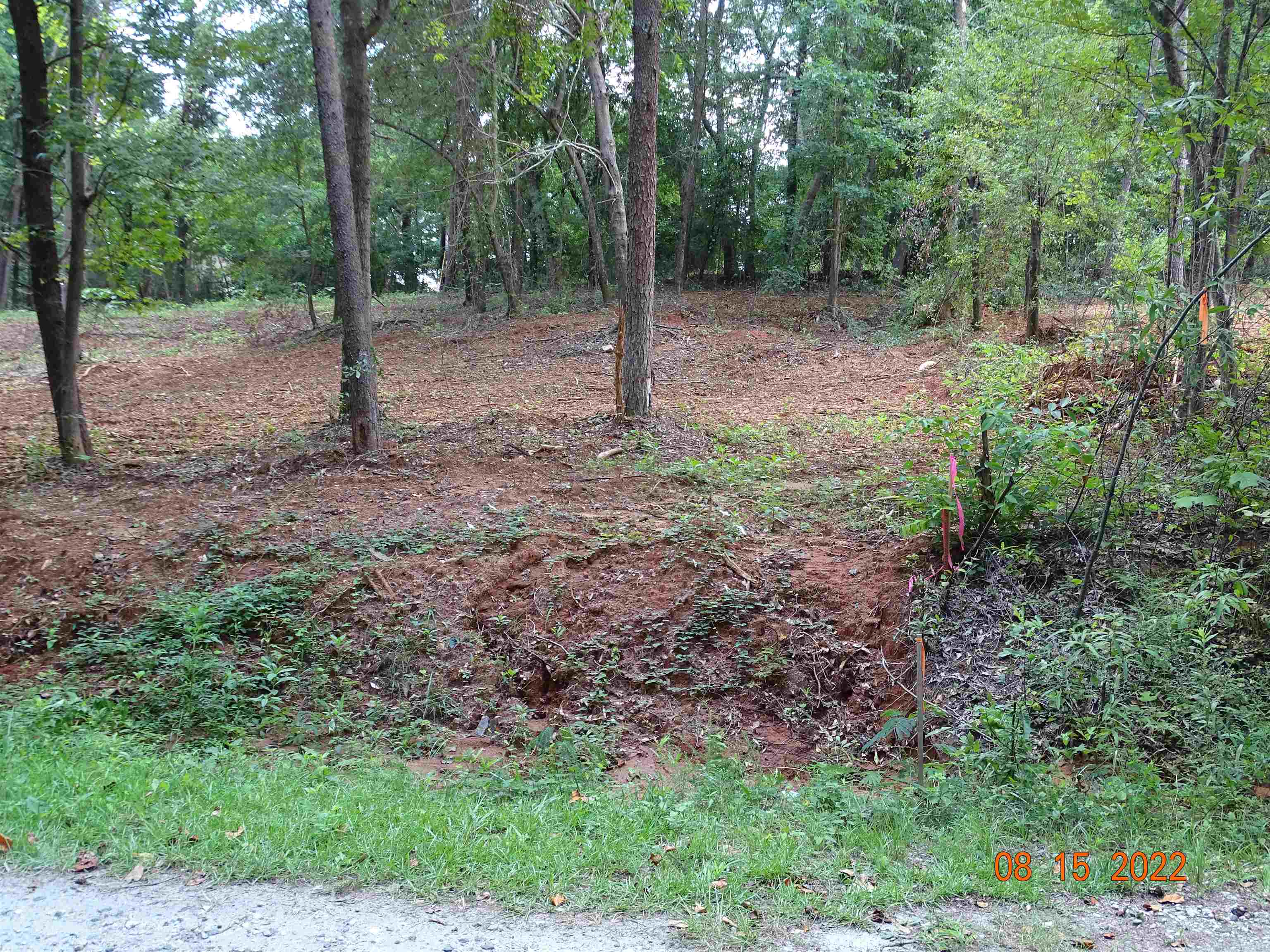 0 Blue Spring Drive Wellford, SC 29385 - Photo 4 of 7 Gallery Image 4