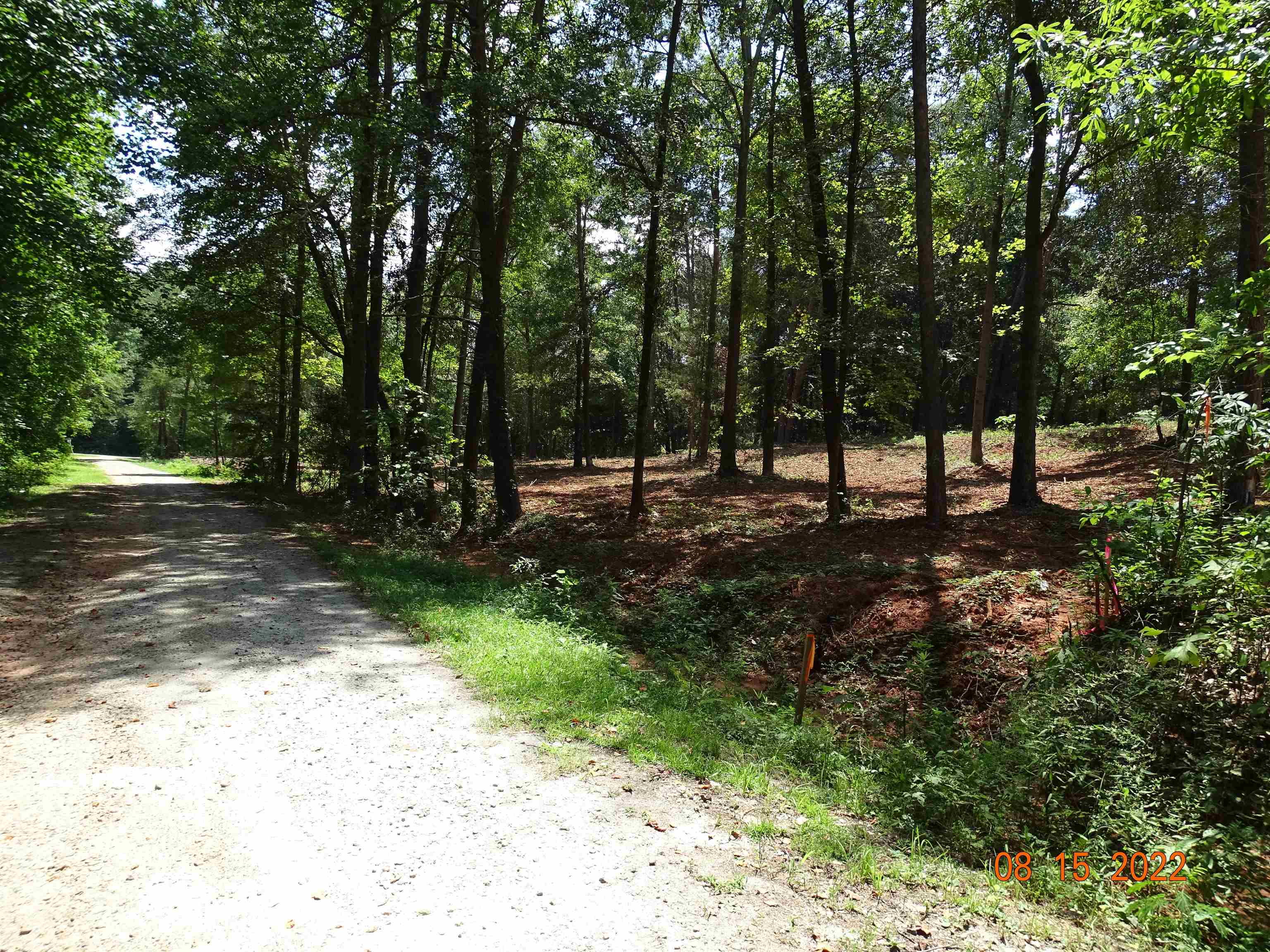0 Blue Spring Drive Wellford, SC 29385 - Photo 5 of 7 Gallery Image 5