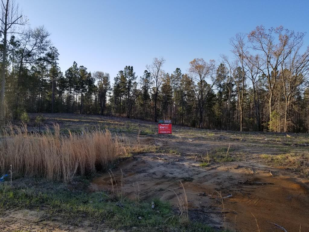 3516 Dry Creek Road Hephzibah, GA 30815 - Photo 1 of 1 Main View