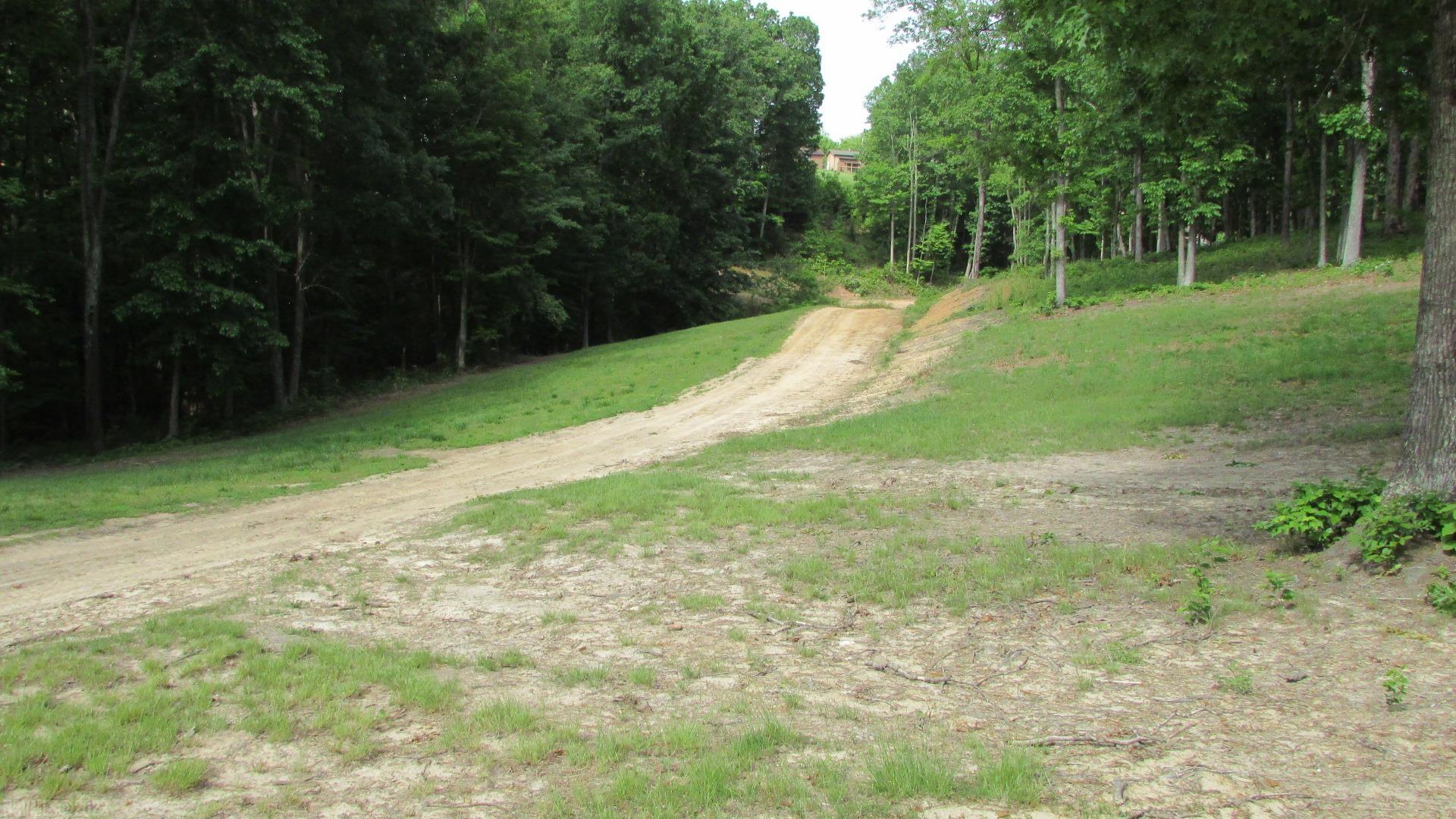 Tbd Parrott Mountain Road Parrott, VA 24132 - Photo 20 of 28 Gallery Image 20