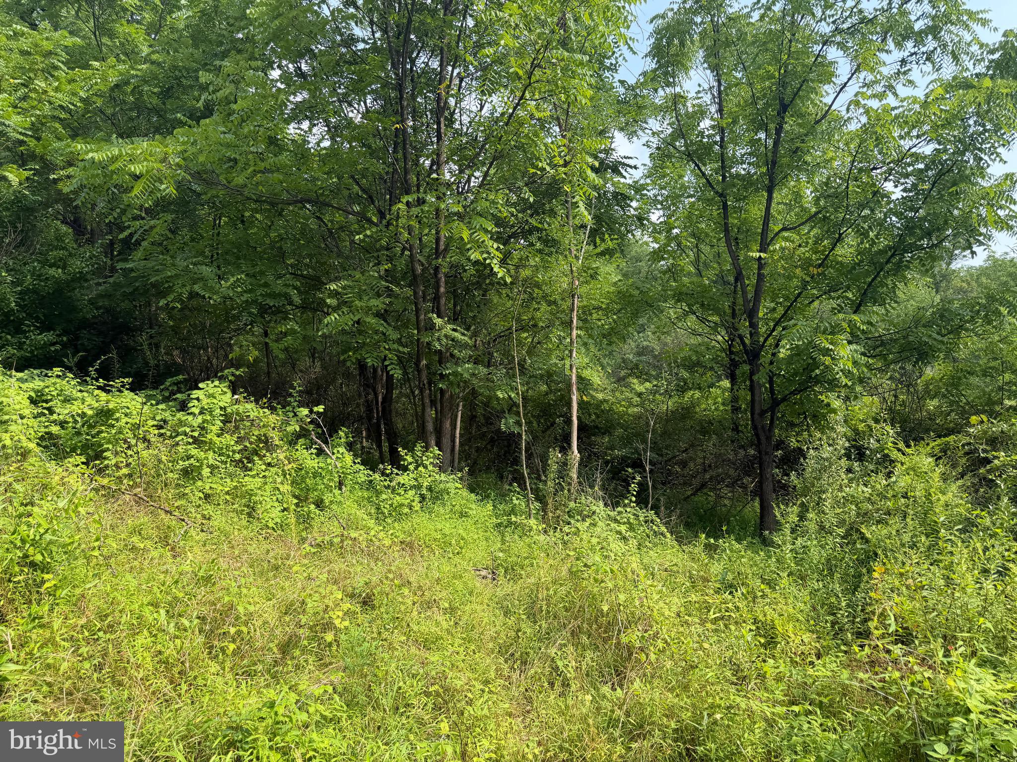 107-acres Schenck Road Wells Tannery, PA 16691 - Photo 66 of 73 Gallery Image 66