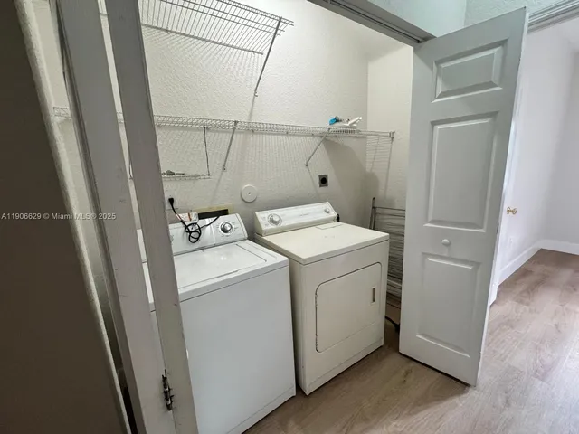 a view of a yard with plants and a large tree