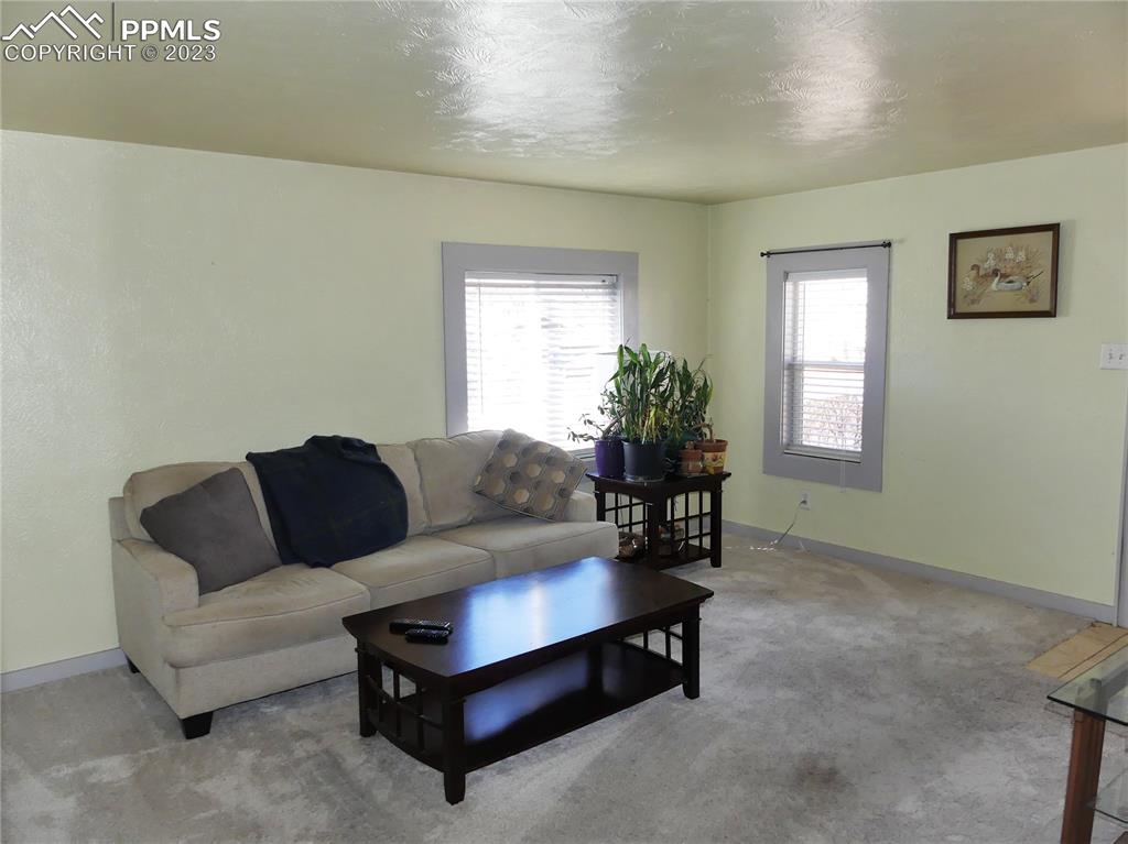 811 Prairie Road Colorado Springs, CO 80909 - Photo 5 of 34 a living room with furniture and a potted plant