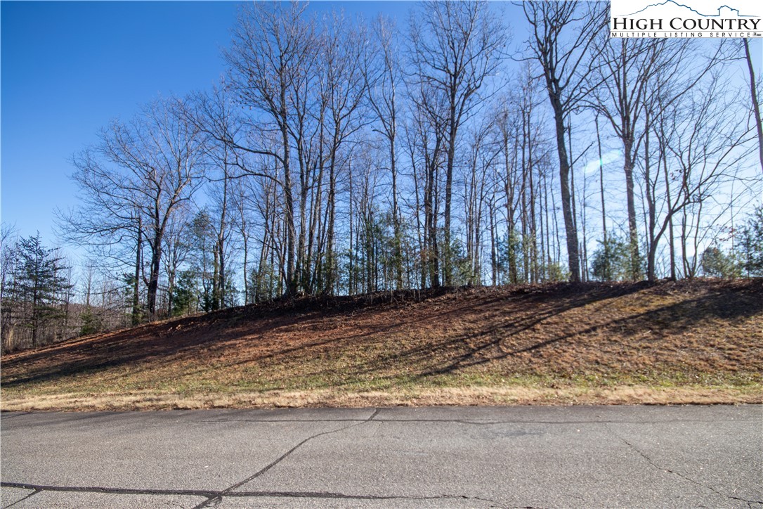 2201 Nighthawk Ridge Court Lenoir, NC 28645 - Photo 2 of 6 Gallery Image 2