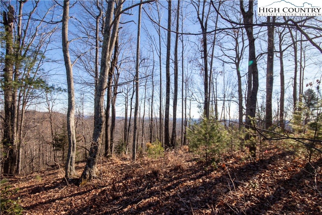 2201 Nighthawk Ridge Court Lenoir, NC 28645 - Photo 3 of 6 Gallery Image 3
