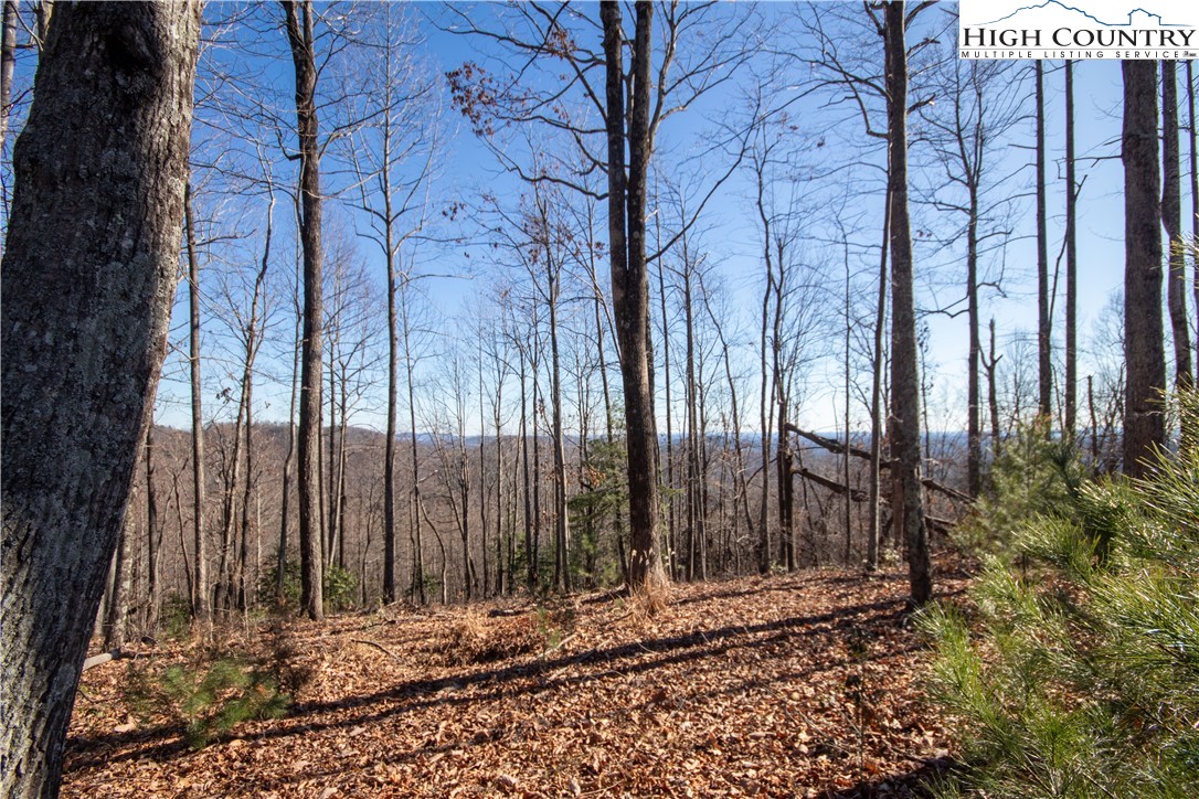2201 Nighthawk Ridge Court Lenoir, NC 28645 - Photo 4 of 6 Gallery Image 4