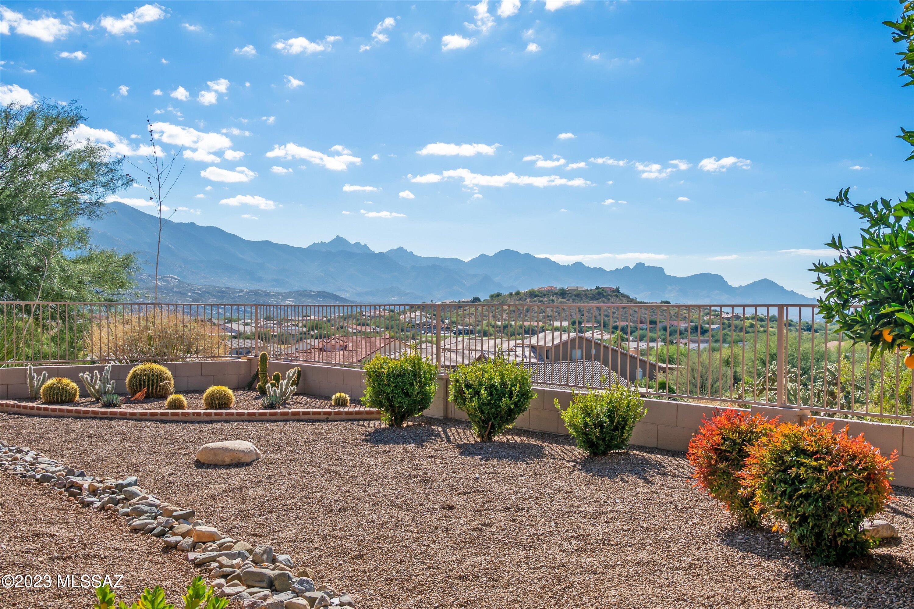 65161 East Rose Ridge Court Tucson, AZ 85739 - Photo 43 of 46