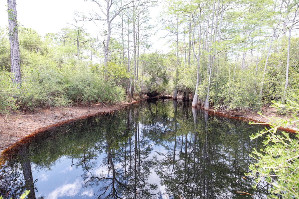 1999 Lighthouse Road Carrabelle, FL 32322 - Photo 29 of 34 Gallery Image 29