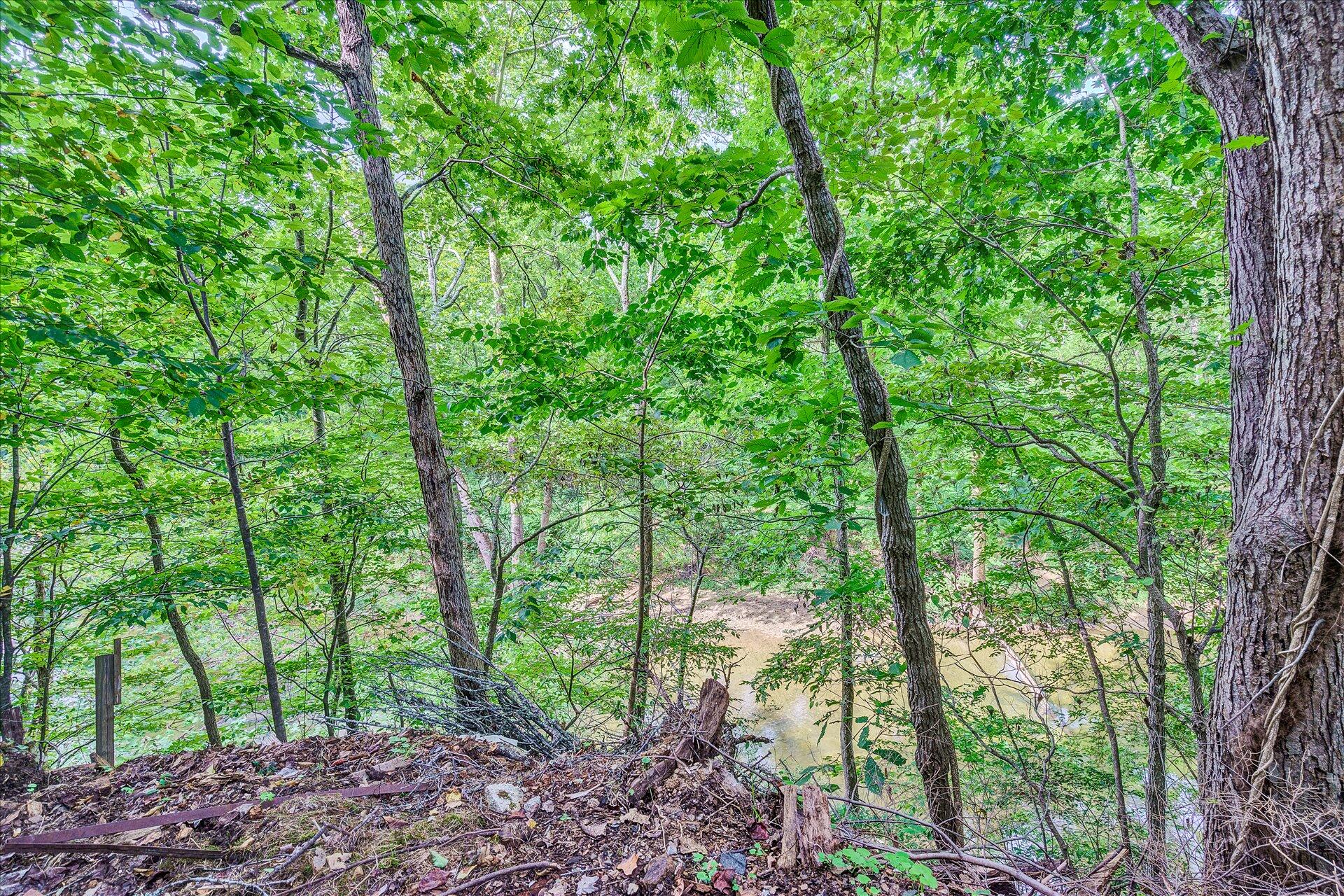 3993 Jae Valley Road Roanoke, VA 24014 - Photo 26 of 34 24-090820210023
