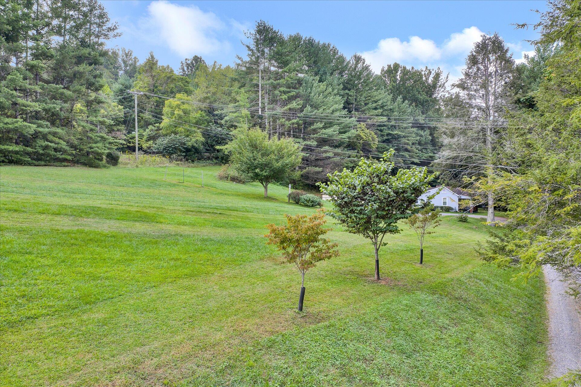 3993 Jae Valley Road Roanoke, VA 24014 - Photo 30 of 34 29-090820210028