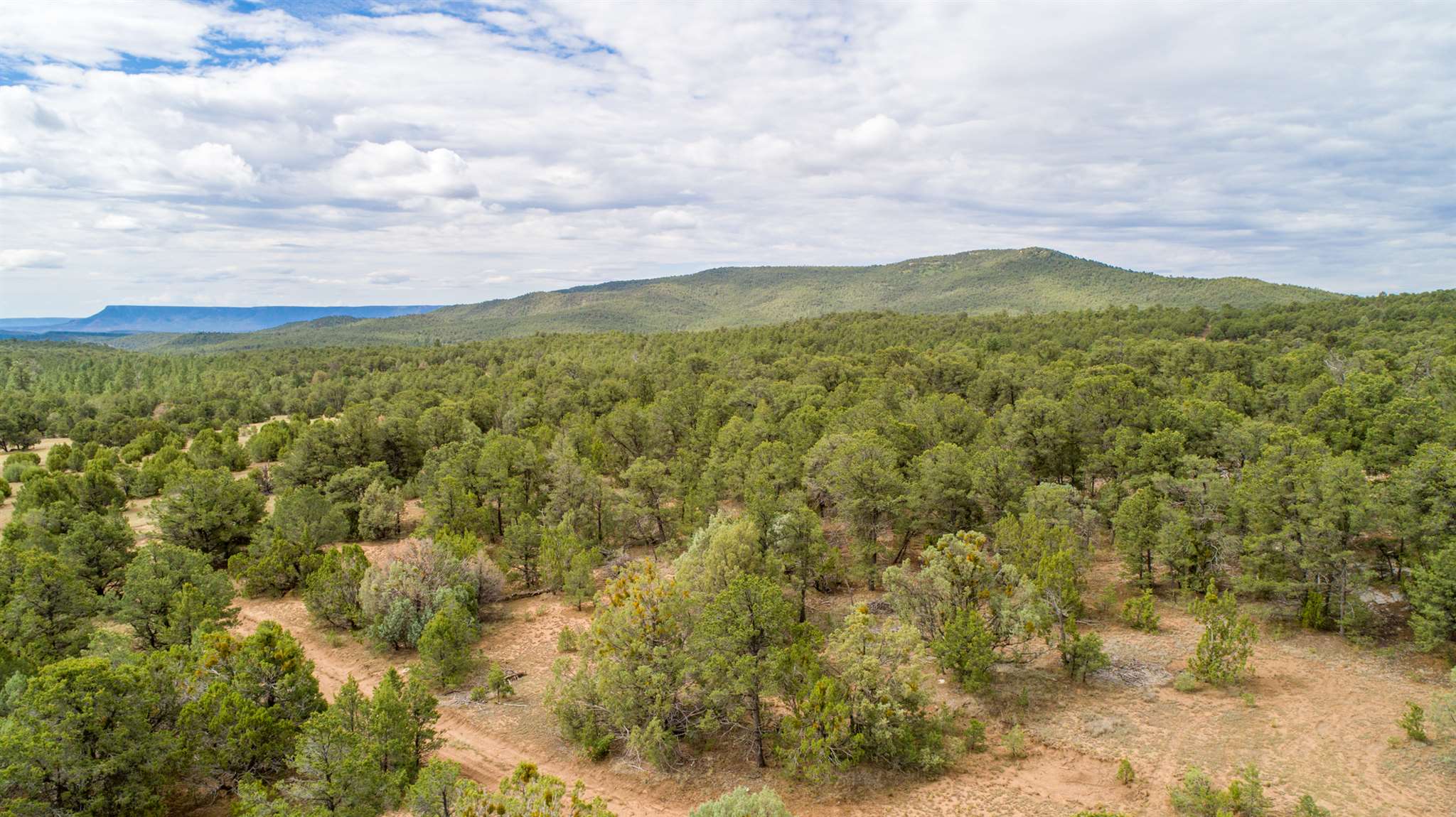 83 Pecos Barillas Road Pecos, NM 87552 - Photo 26 of 54 Gallery Image 26