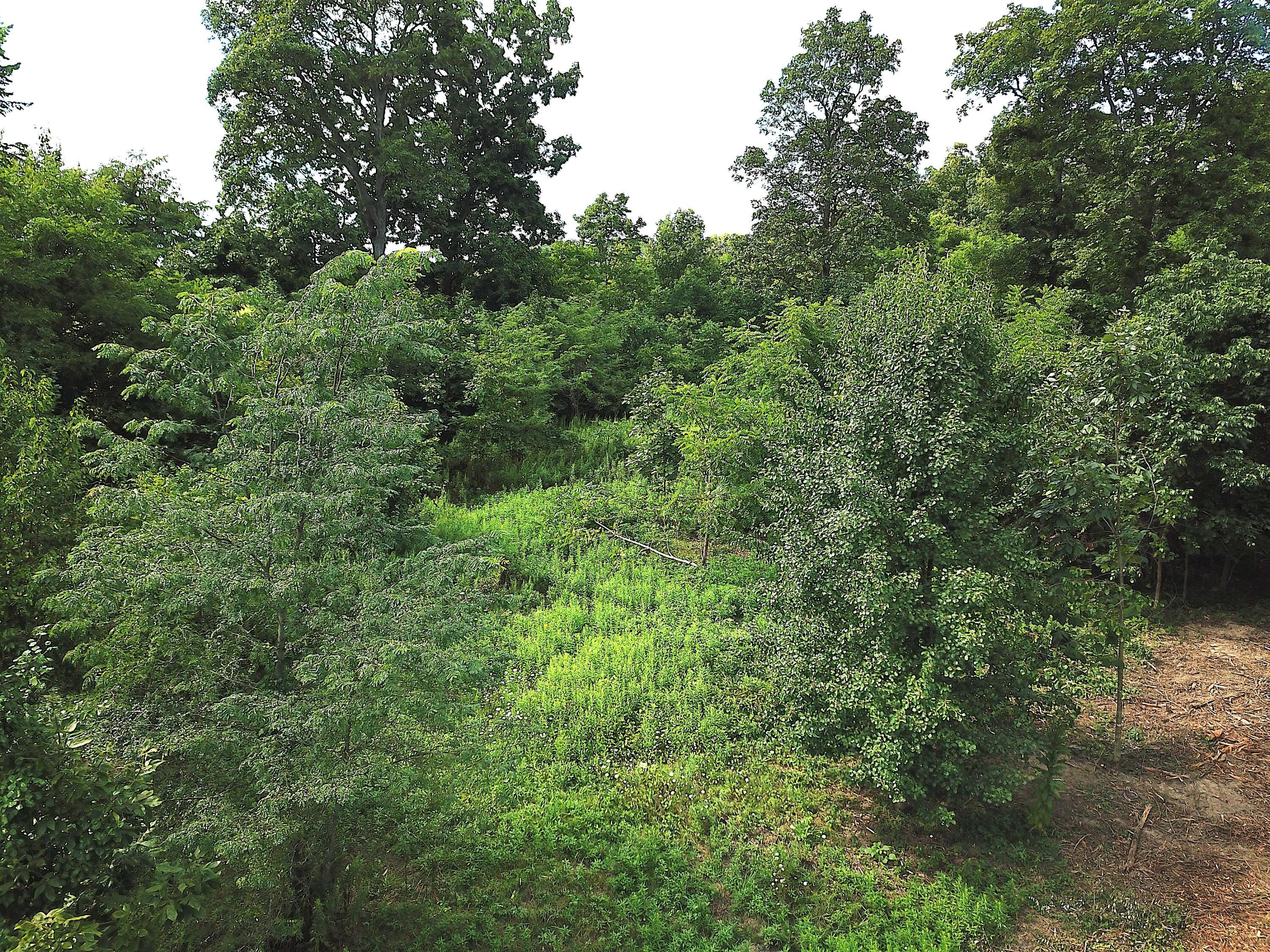 0 North Dean Road Ostrander, OH 43061 - Photo 15 of 38 DJI_0013