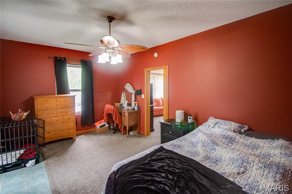 701 East Chestnut Street Gillespie, IL 62033 - Photo 18 of 41