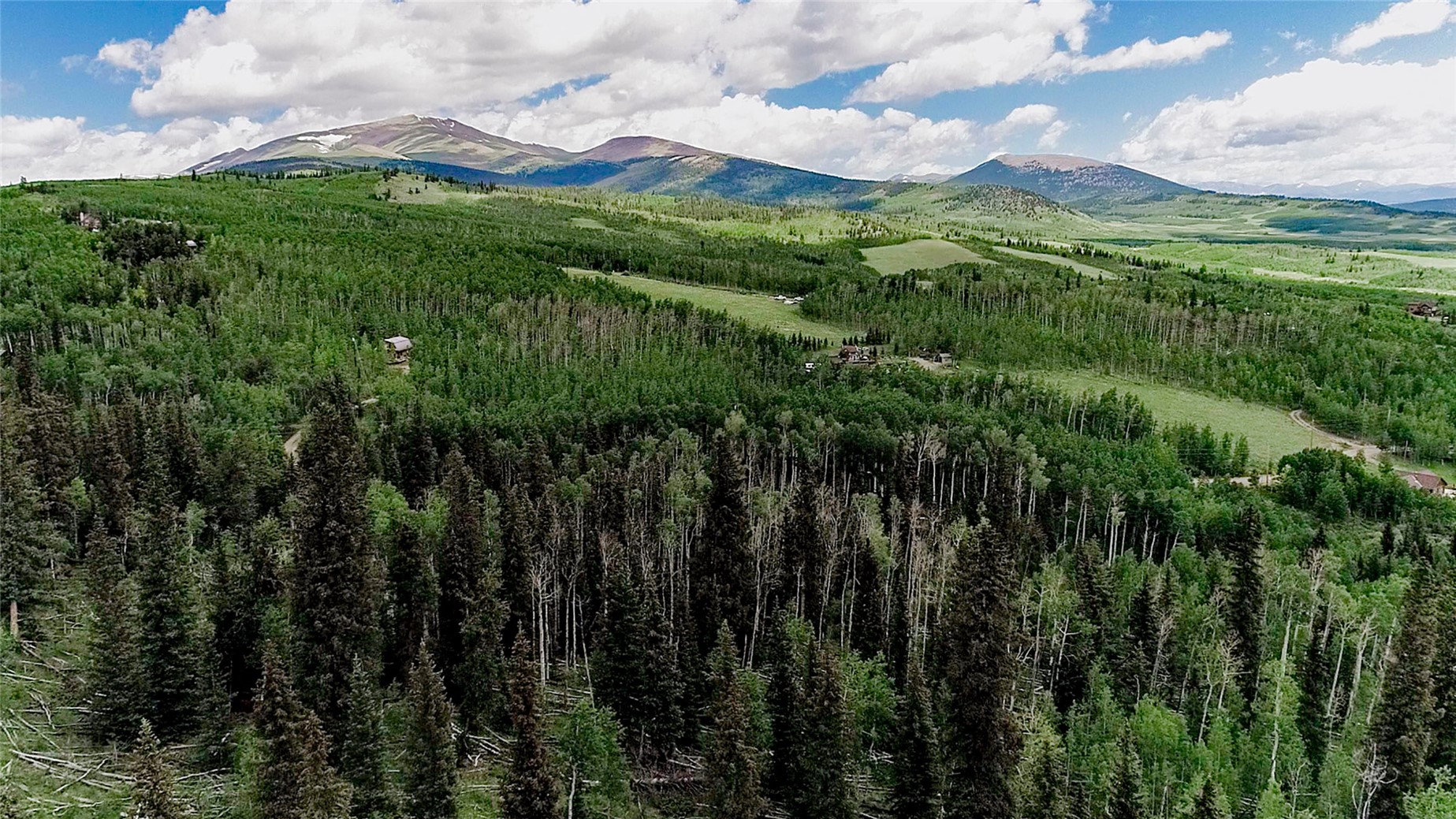 1047 Lumberjack Road Fairplay, CO 80440 - Photo 2 of 27 a view of a lush green forest with a building in the background