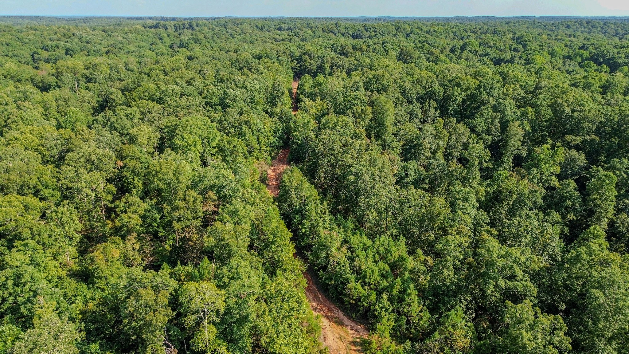 0 Roby Trail Henderson, TN 38340 - Photo 1 of 16