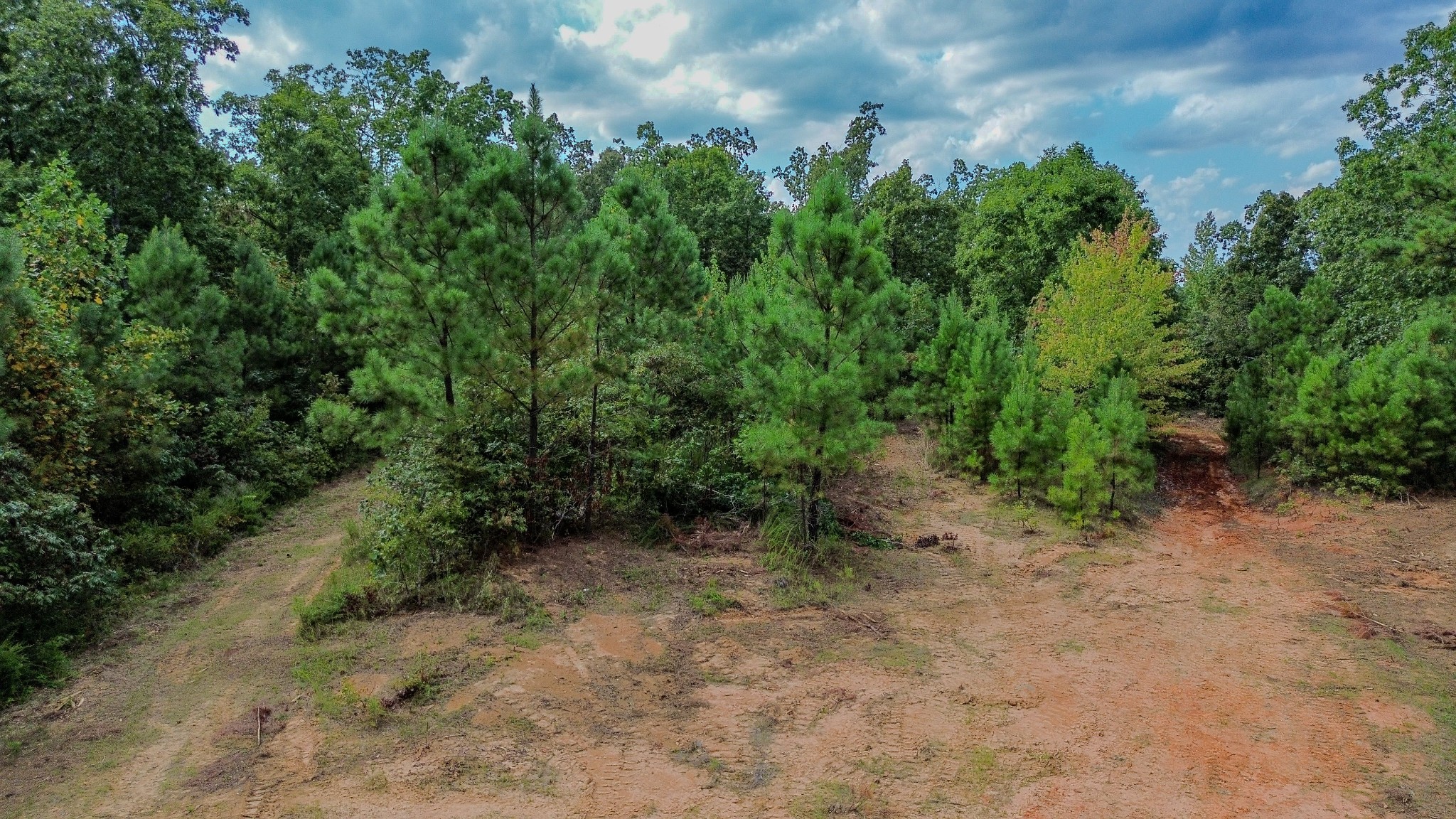 0 Roby Trail Henderson, TN 38340 - Photo 16 of 16