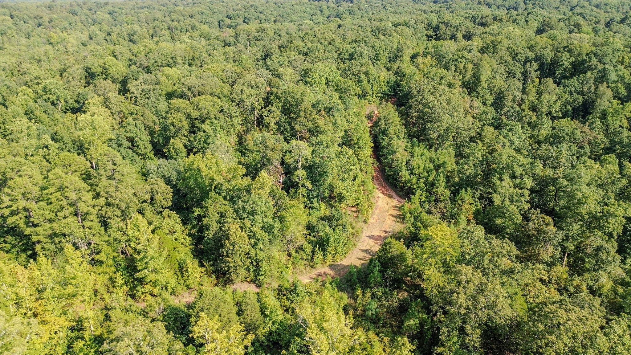 0 Roby Trail Henderson, TN 38340 - Photo 2 of 16