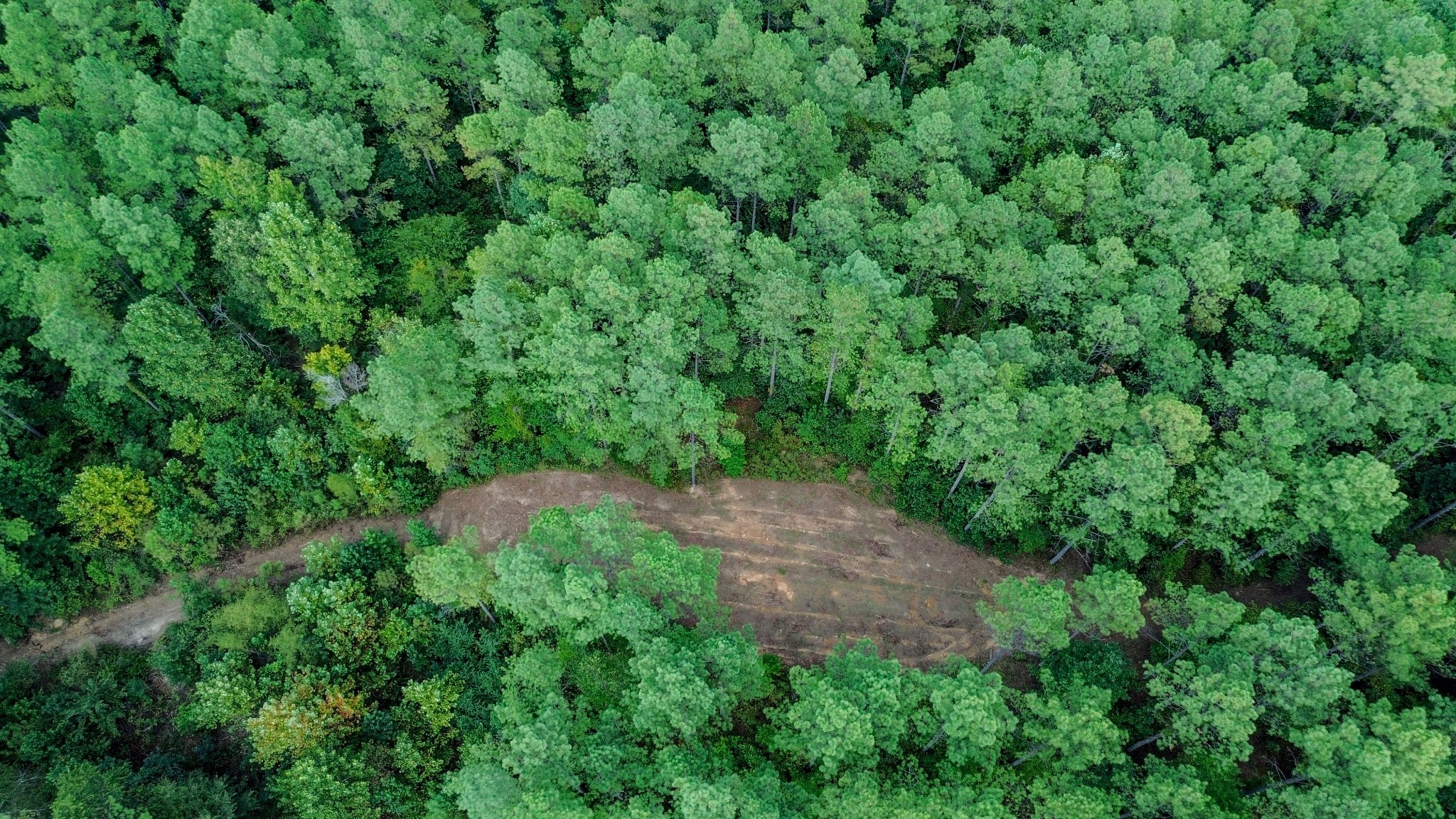 0 Roby Trail Henderson, TN 38340 - Photo 3 of 16