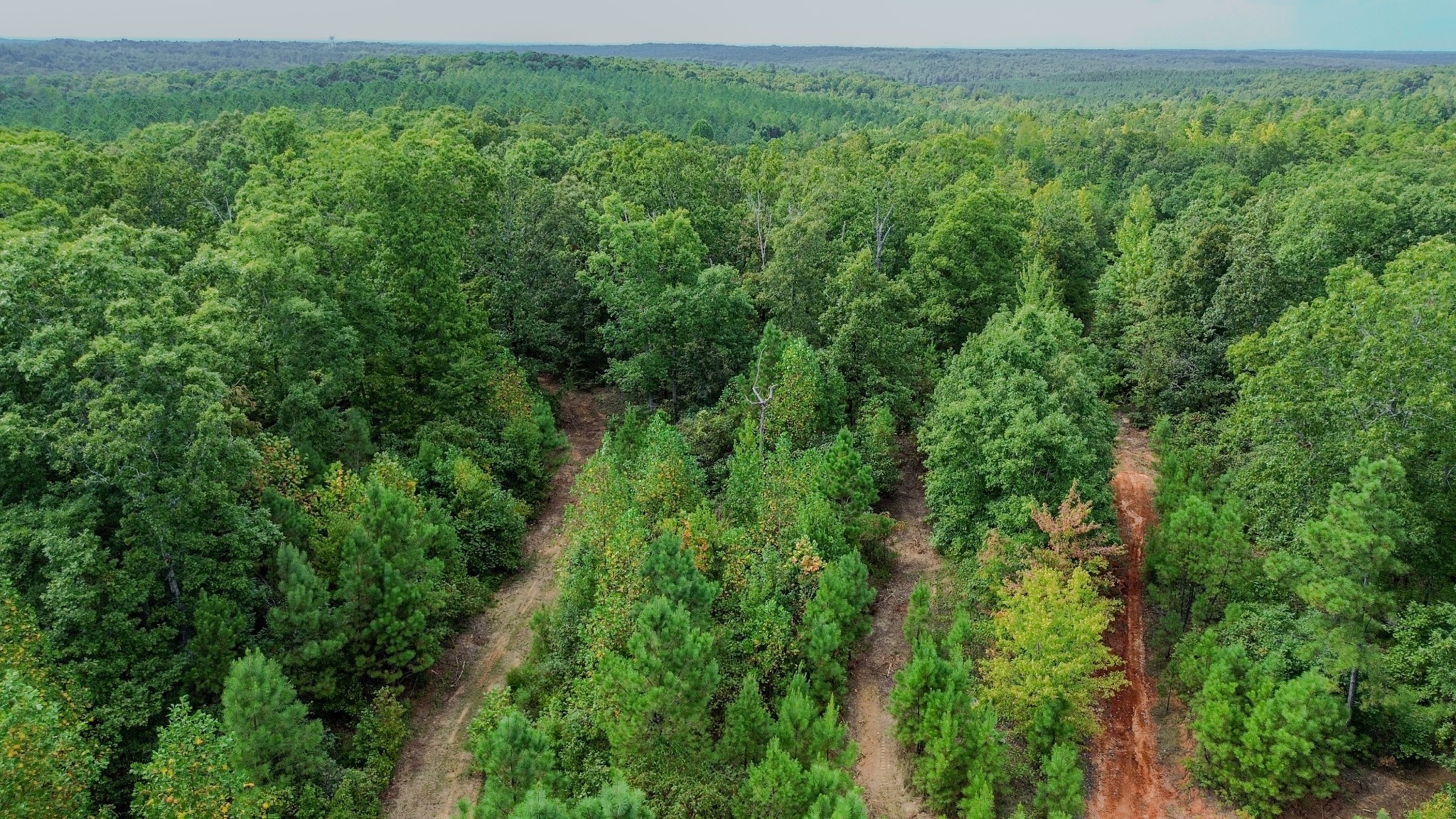 0 Roby Trail Henderson, TN 38340 - Photo 6 of 16
