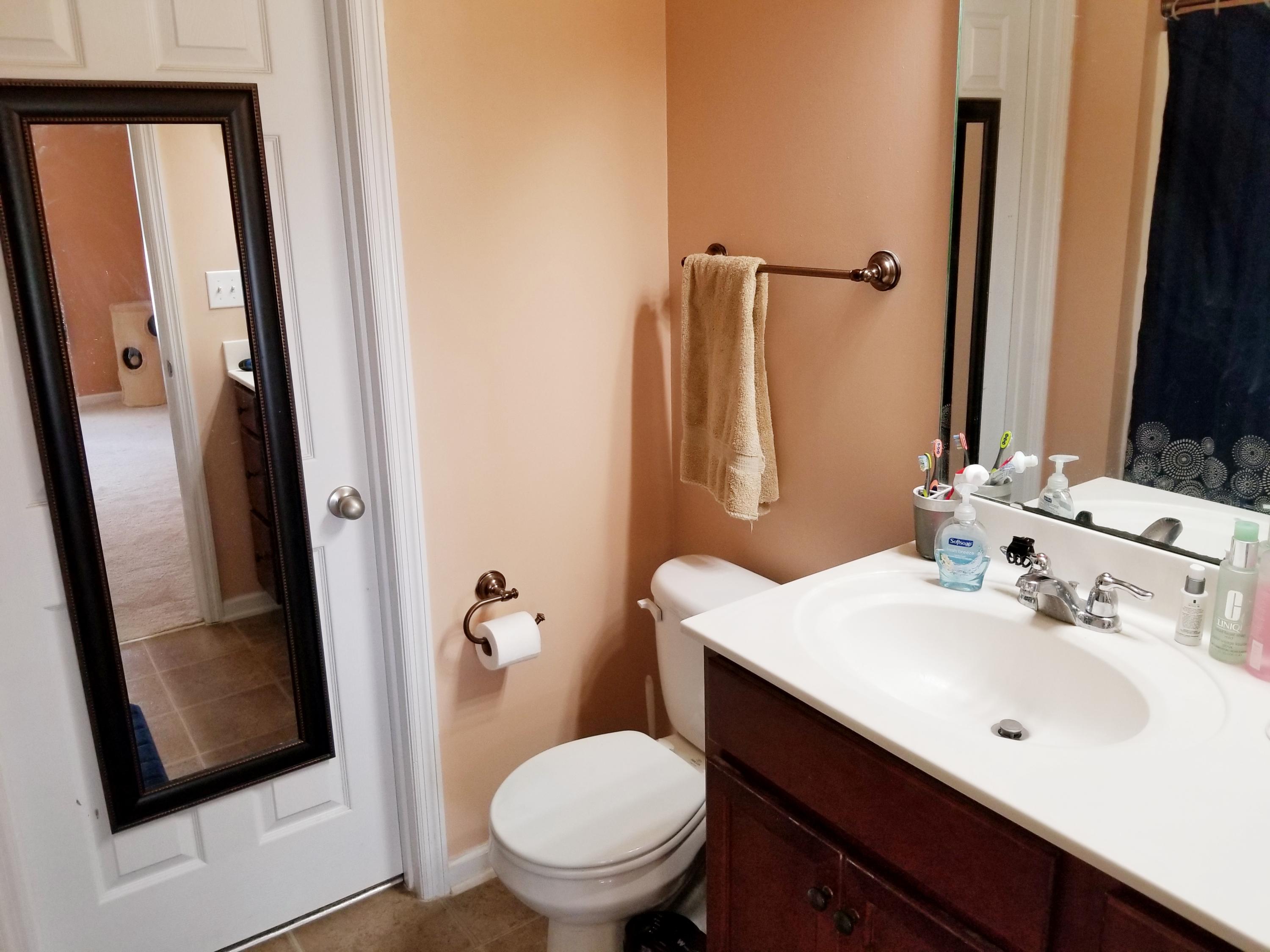 1119 Flyway Road Summerville, SC 29483 - Photo 12 of 21 20190310_145607