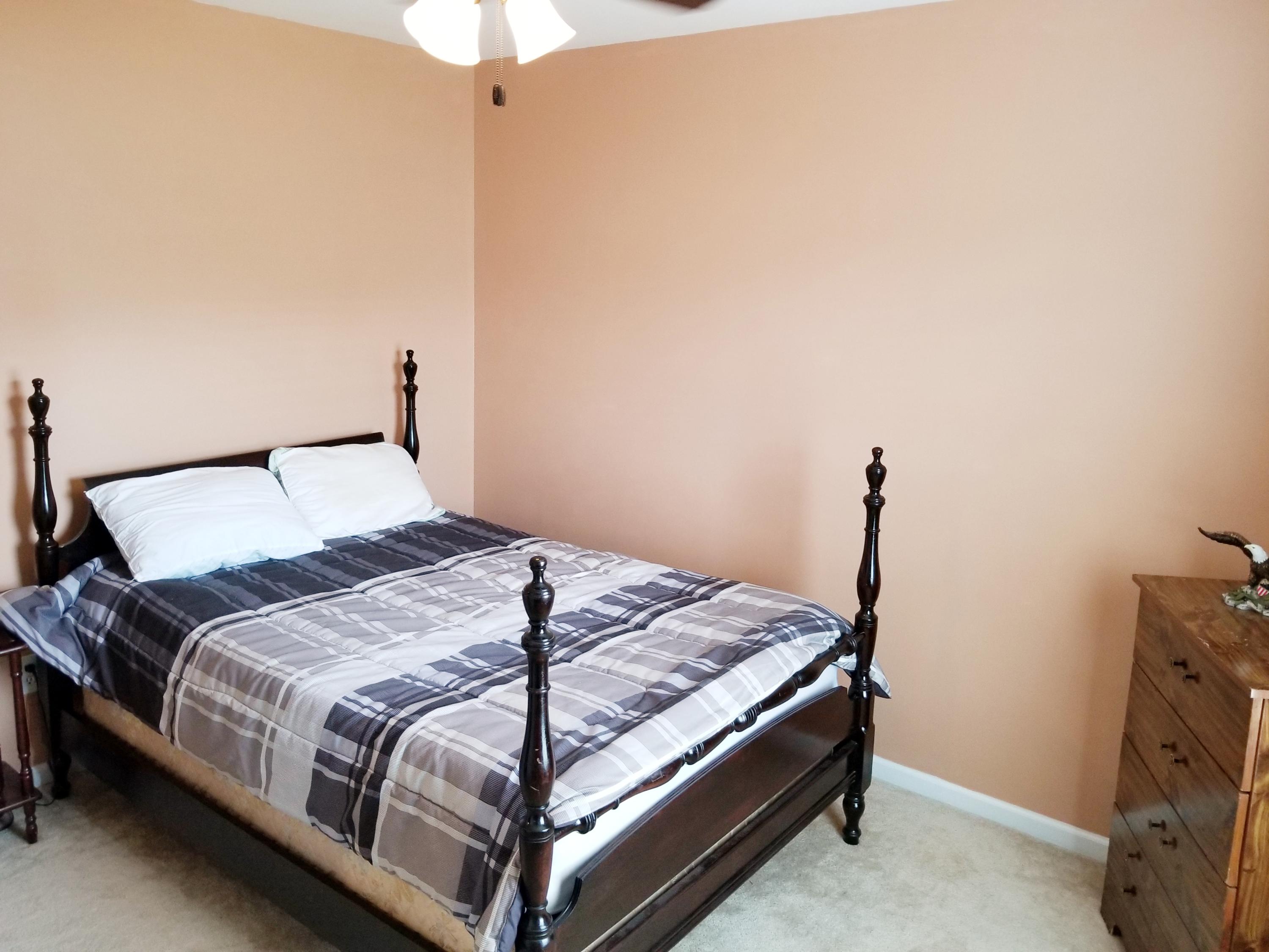 1119 Flyway Road Summerville, SC 29483 - Photo 15 of 21 20190310_145428