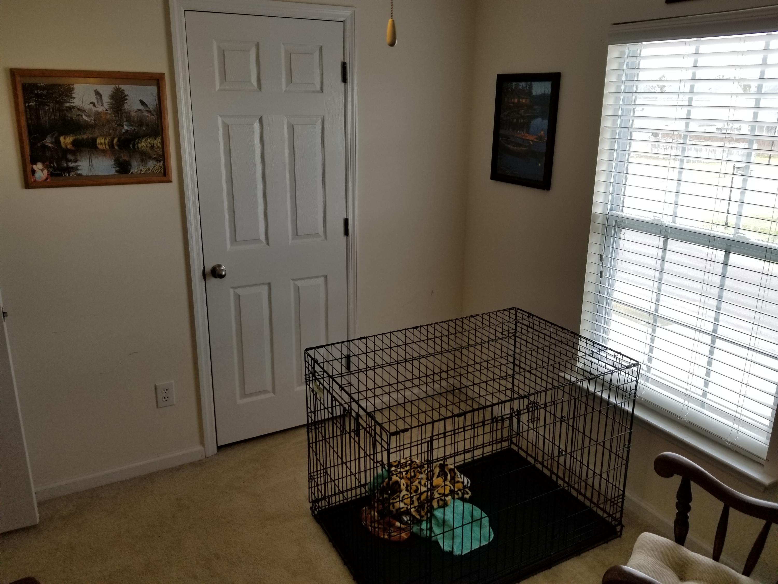 1119 Flyway Road Summerville, SC 29483 - Photo 16 of 21 20190310_124718