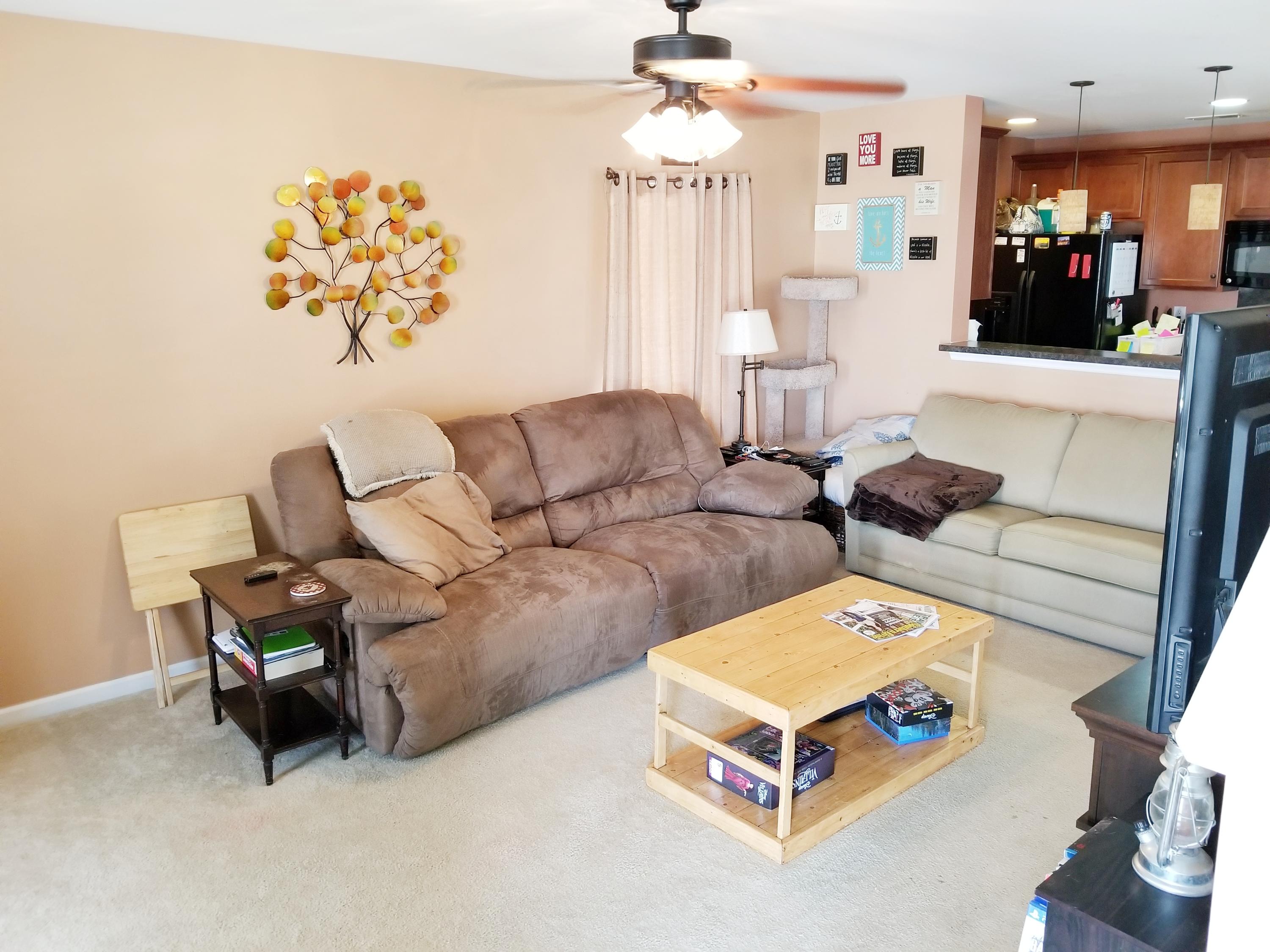 1119 Flyway Road Summerville, SC 29483 - Photo 4 of 21 20190310_145729