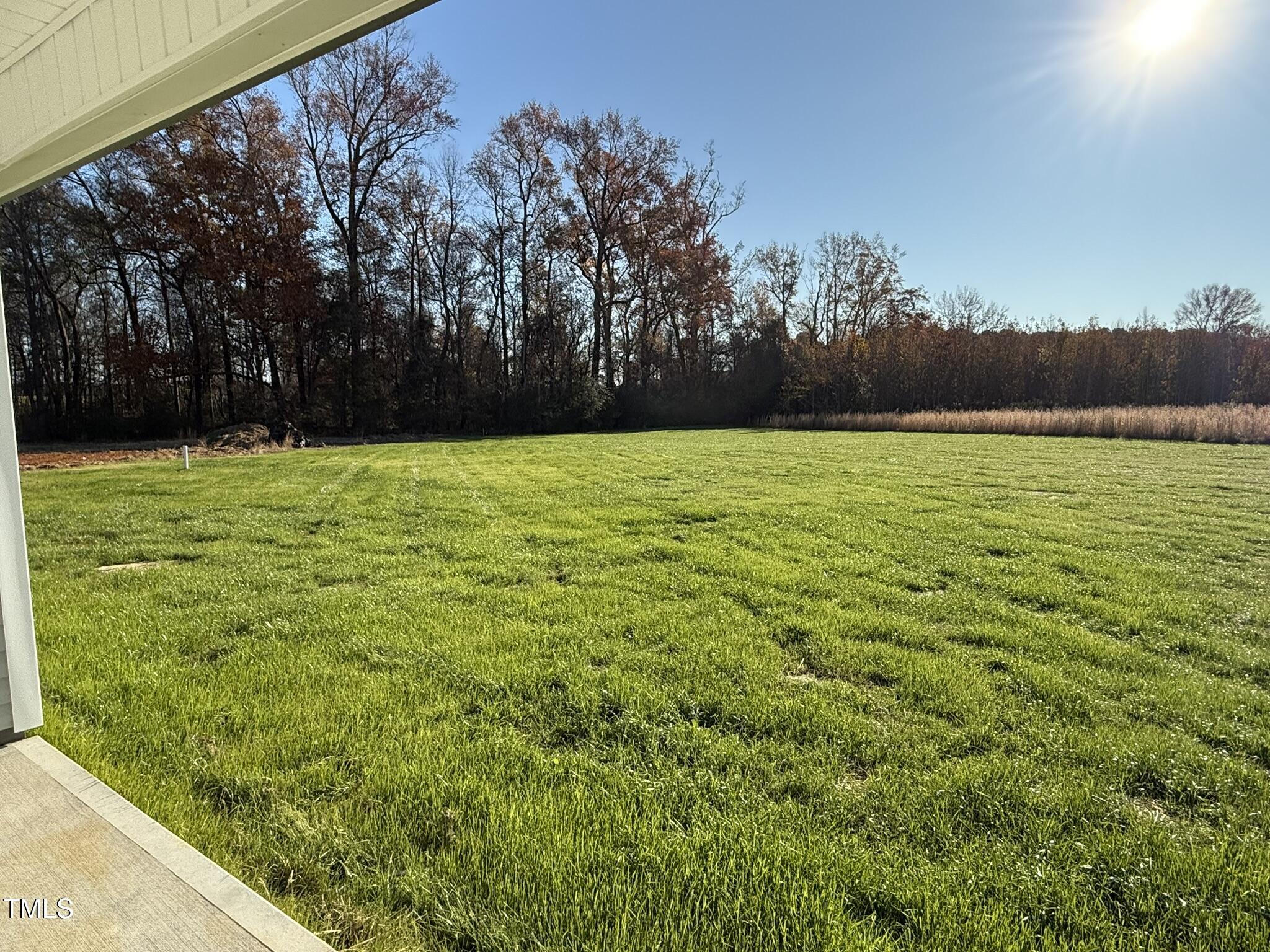 198 Pate Landing Drive Selma, NC 27576 - Photo 16 of 16 a view of a field with an trees