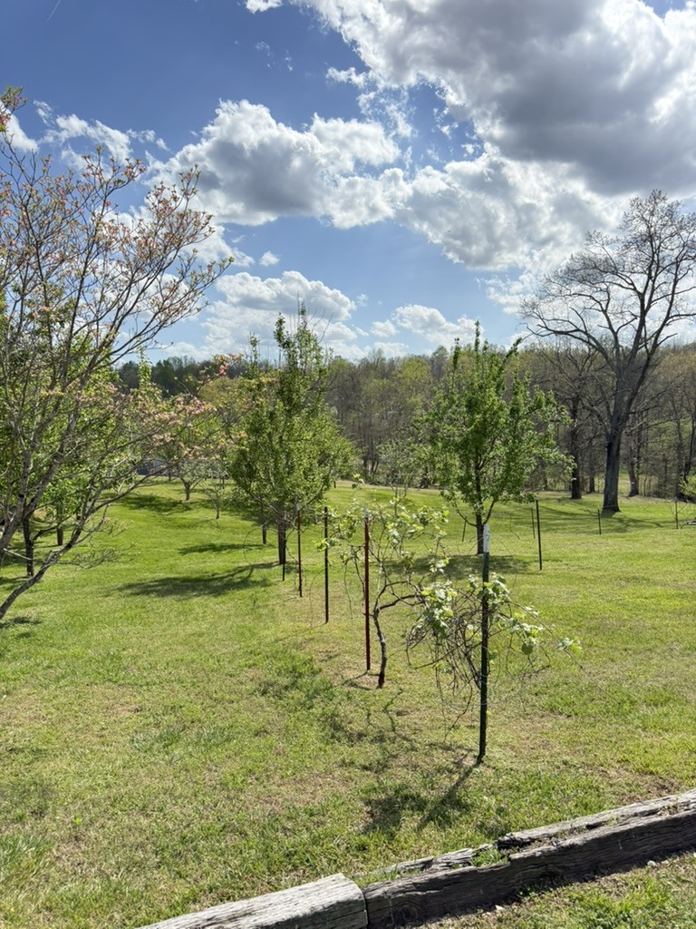 119 Fred Road Bon Aqua, TN 37025 - Photo 53 of 57