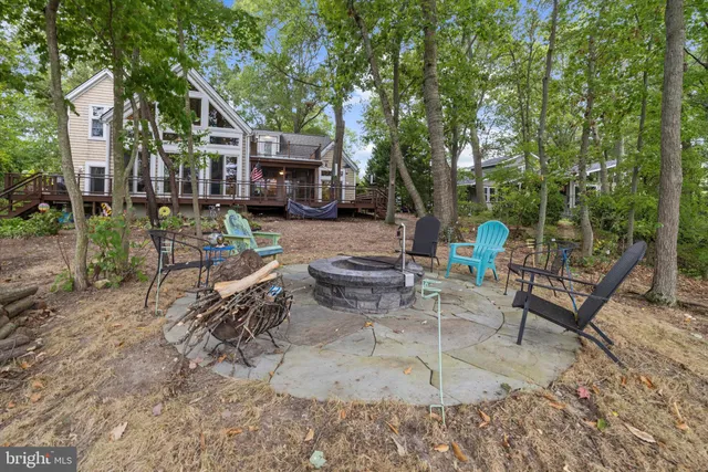 a view of a bench in a forest
