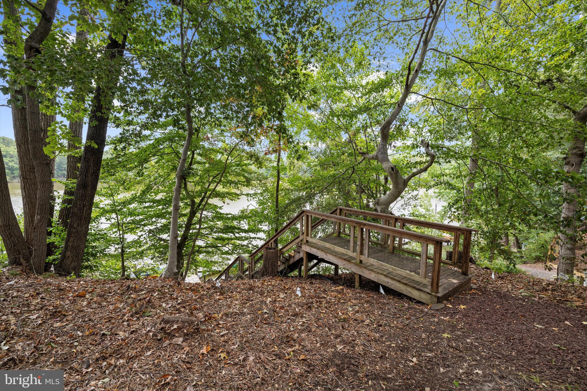 10761 Kasota Road Chestertown, MD 21620 - Photo 35 of 47 a view of a bench in a forest