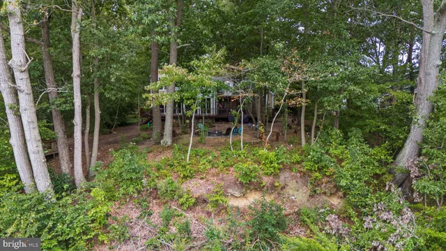a small pool with trees in the background