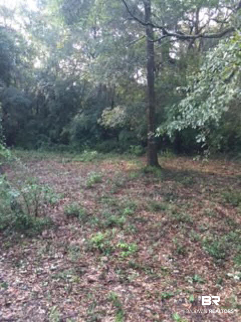 0 Wayburn Road Seminole, AL 36574 - Photo 5 of 8